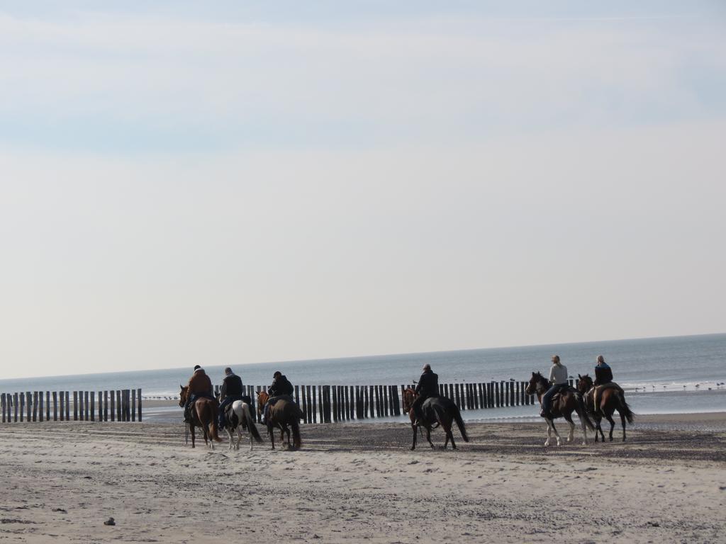 Hotel De Vier Seizoenen Renesse Esterno foto