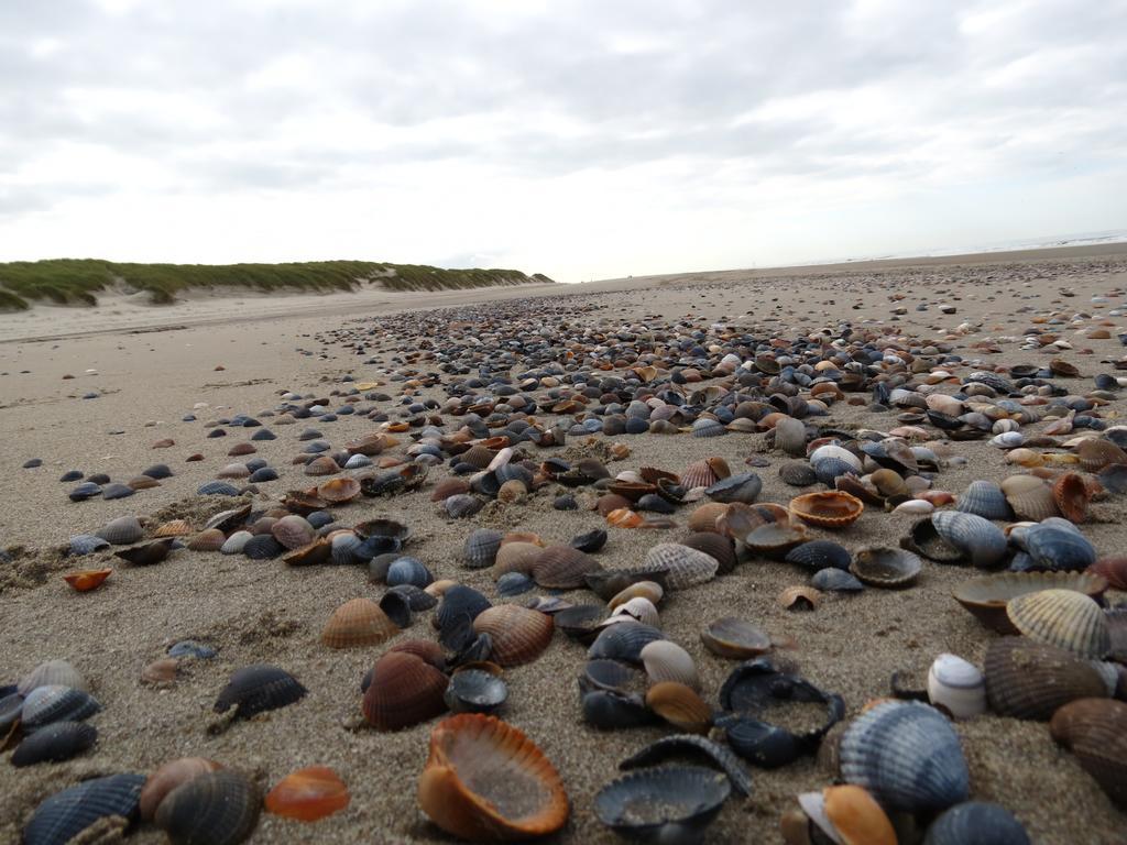 Hotel De Vier Seizoenen Renesse Esterno foto